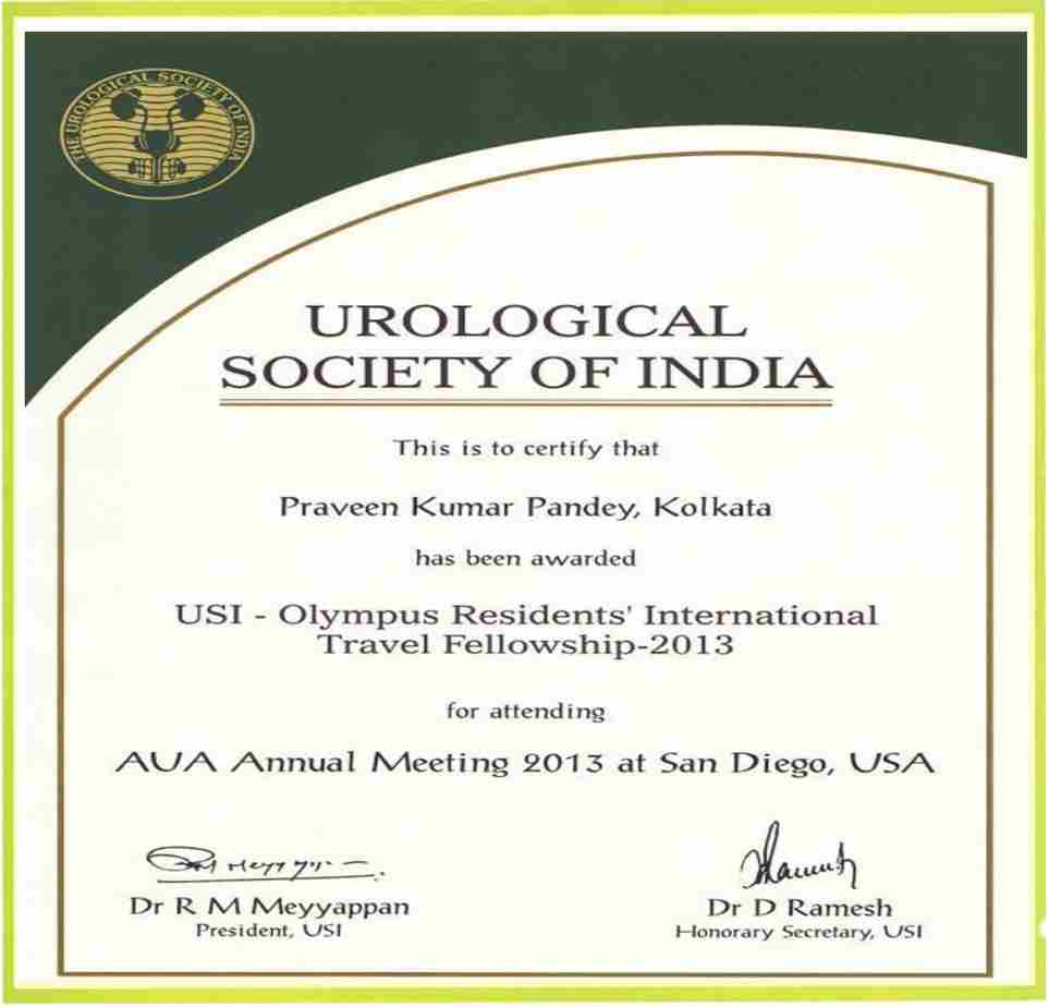 best urologist in lucknow,best urology clinic in lucknow,bladder stone treatment in lucknow,dr praveen urologist in lucknow,kidney cancer treatment in lucknow,kidney specialist in Lucknow,